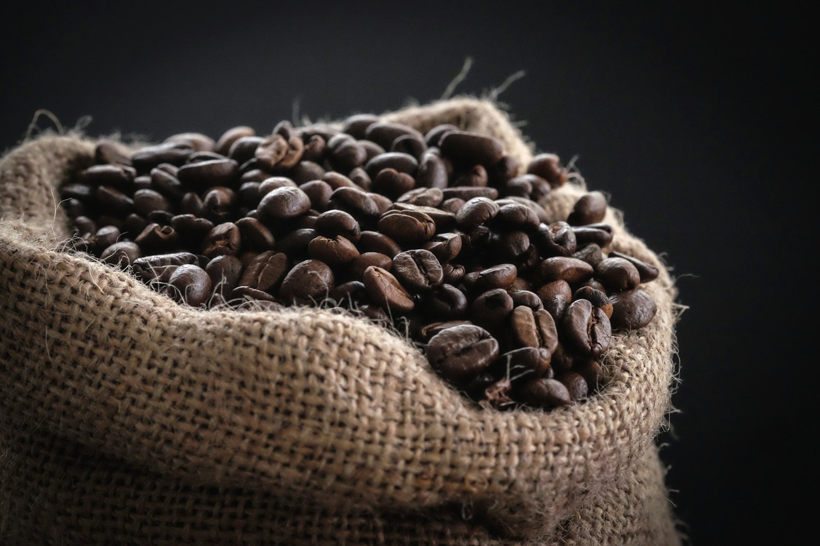 Čerstvě pražená zrnková káva arabica v jutovém pytli